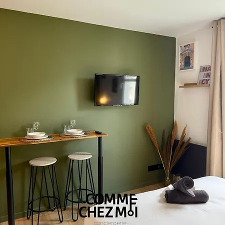 Le 218 Moderne Et Entierement Equipe A Nancy, Avec Garage Privatif