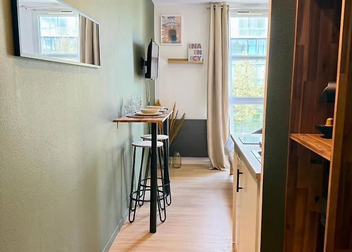 Le 218 Moderne Et Entierement Equipe A Nancy, Avec Garage Privatif * Nancy