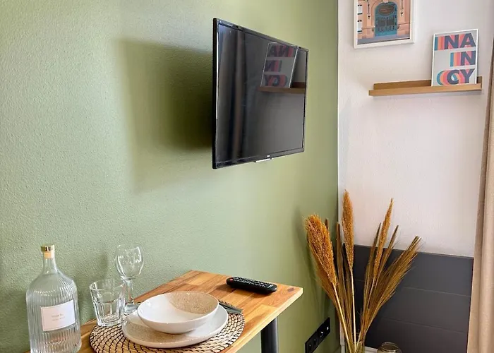 Le 218 Moderne Et Entierement Equipe A Nancy, Avec Garage Privatif *